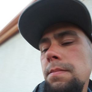 Meet your Posher, Dino